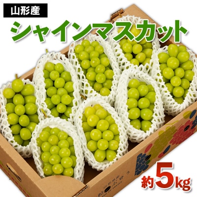 山形産 シャインマスカット 秀 約5kg 【令和8年産】FS24-748