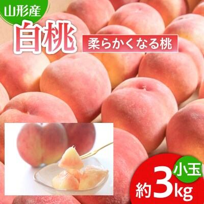 人気です!山形産 白桃 小玉 秀品 3kg[柔らかくなる桃] 【令和8年産】FU22-745