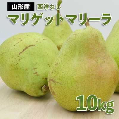 山形市産 西洋なし(マリゲットマリーラ) 秀 10kg(5kg×2) 【令和8年産】FS24-585
