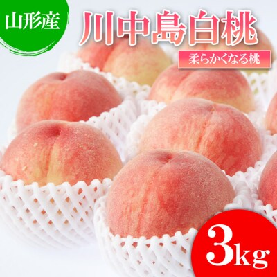  【白桃】川中島白桃 3kg(6～12玉)[柔らかくなる桃] 【令和8年産】FU22-783