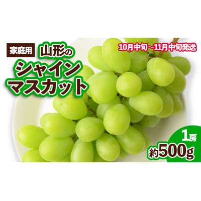 【ご家庭用】山形のシャインマスカット 優品 1房 約500g【令和8年産】FS23-649