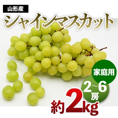 【ご家庭用】山形のシャインマスカット 優品 約2kg(2～6房)【令和8年産】FS24-577