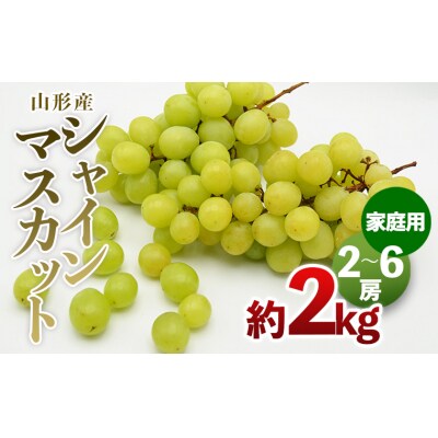 【ご家庭用】山形のシャインマスカット 優品 約2kg(2～6房)【令和8年産】FS24-578