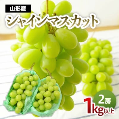 シャインマスカット 1kg以上(2房)[10月中旬～11月中旬発送] 【令和8年産】FS24-574