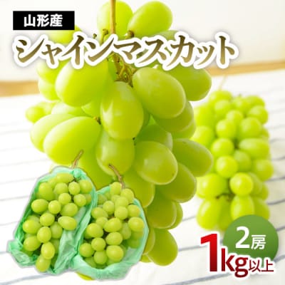 シャインマスカット 1kg以上(2房)[9月中旬～10月中旬発送] 【令和8年産】FS24-575