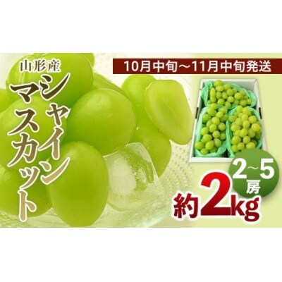 山形のシャインマスカット 秀品 約2kg(2～5房)【令和8年産】FS24-643
