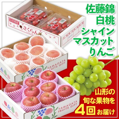 【定期便4回】☆フルーツ王国山形☆佐藤錦・白桃・シャイン・りんご 【令和8年産】FS25-674