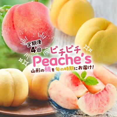 【定期便4回】ピチピチPeache's 【令和8年産】FS24-742