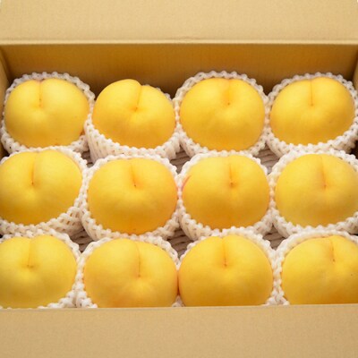 山形の黄桃 約3kg(6～13玉)[柔らかくなる品種・果肉やや硬め] 【令和8年産】FU22-055