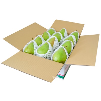 山形の洋梨 マリゲットマリーラ 秀品 約5kg(7～15玉) 【令和8年産】FS23-863