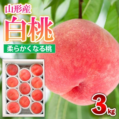 山形産 白桃 [柔らかくなる桃] 3kg(8～14玉) 秀品  【令和8年産】FS25-604