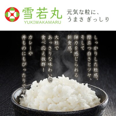  【定期便4回】山形産 雪若丸 精米 5kg×4回 FY26-259