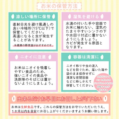  【定期便4回】山形産 雪若丸 精米 5kg×4回 FY26-259