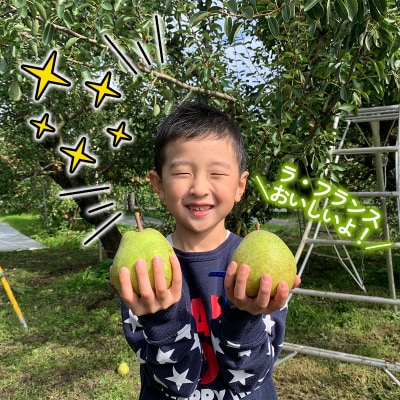 ★食べ頃出荷★ 「ラ・フランス」 特秀品 2kg (5～9玉) 【令和8年産】FS24-818