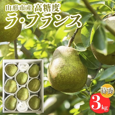 山形市産【高糖度ラフランス】特秀品 3kg (6～10玉) 【令和8年産】FS24-821