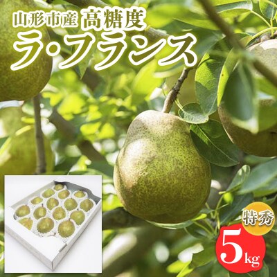 山形市産【高糖度ラフランス】特秀品 5kg (10～18玉)   【令和8年産】FS24-822