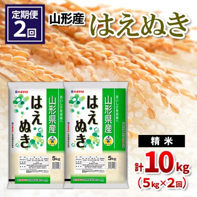  【定期便2回】山形産 はえぬき 精米 5kg×2回 FY26-262