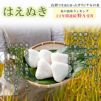  【定期便2回】山形産 はえぬき 精米 5kg×2回 FY26-262