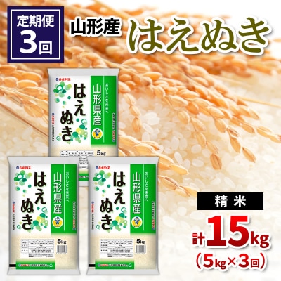  【定期便3回】山形産 はえぬき 精米 5kg×3回 FY26-263