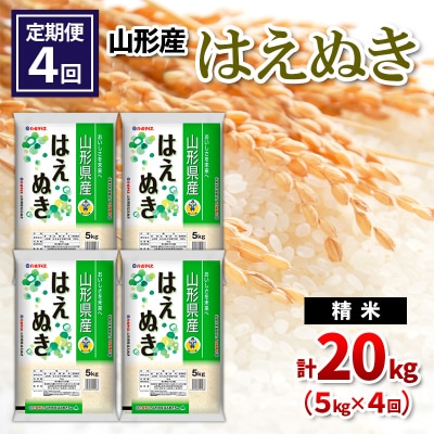 【定期便4回】山形県産 はえぬき 精米 5kg×4回(計20kg) FZ24-536