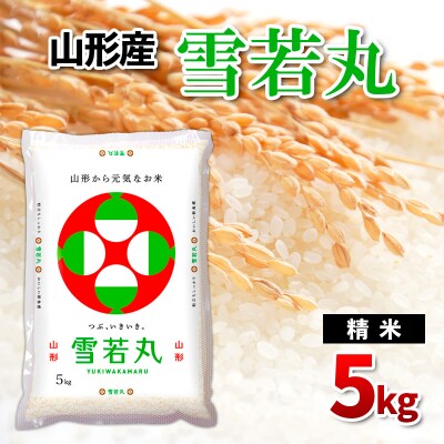 山形県産雪若丸 精米 5kg FZ26-842