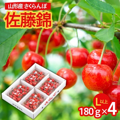 山形市産 さくらんぼ 佐藤錦 L以上 180g×4パック バラ詰め【令和7年産】FU24-618