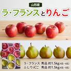 山形ラ・フランスとりんごのセット 秀品 約3kg 【令和7年産】FS22-131