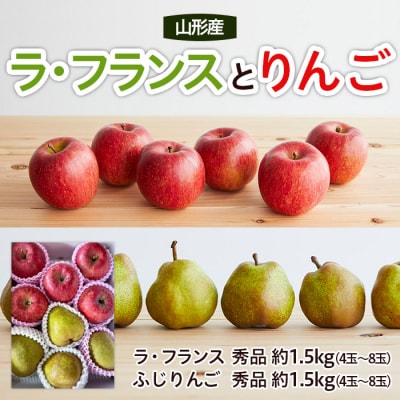 山形ラ・フランスとりんごのセット 秀品 約3kg 【令和8年産】FS22-131
