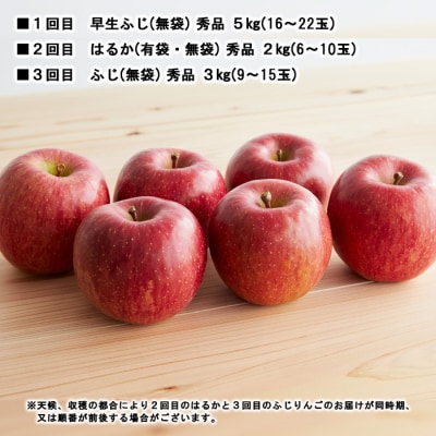 【定期便3回】やまがた秋のりんご三昧 【令和8年産】FS23-638