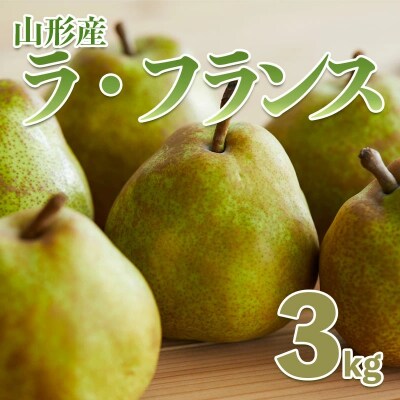 西洋なし「山形ラフランス」3kg 【令和8年産】FS21-247