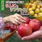【定期便2回】ふるさとからの贈り物 りんごとラフランス便 【令和7年産】FS23-657