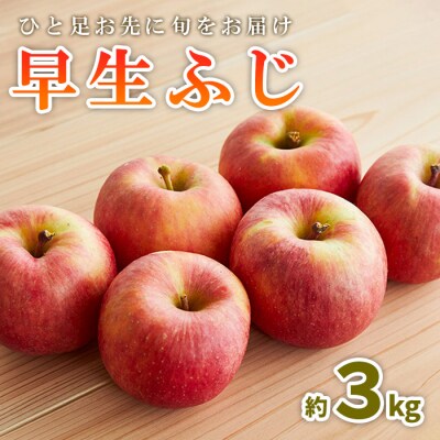ひと足お先に旬をお届け 早生ふじ 秀品 約3kg 【令和7年産】FS23-658