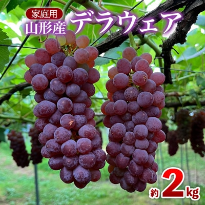 【家庭用】デラウェア 約2kg 12～16房 FZ26-730