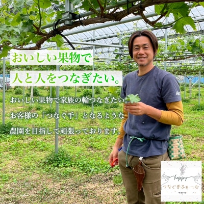 【家庭用】デラウェア 約2kg 12～16房 FY25-001
