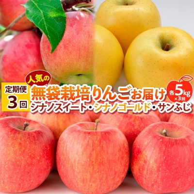 【定期便3回】人気の無袋栽培りんごお届け 各5kg×3回  FY25-014