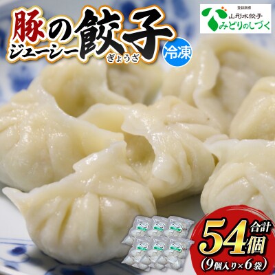 豚のジューシー餃子 9個入り×6袋(計54個) FZ26-734