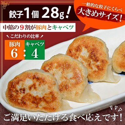 豚のジューシー餃子 9個入り×6袋(計54個) FY25-006
