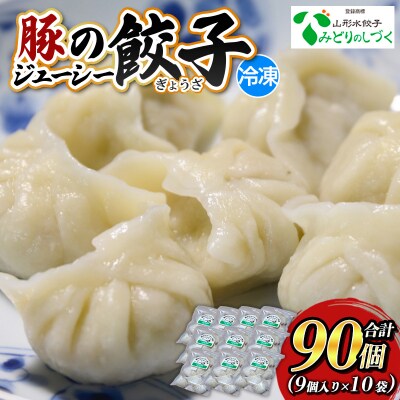 豚のジューシー餃子 9個入り×10袋(計90個) FY25-007