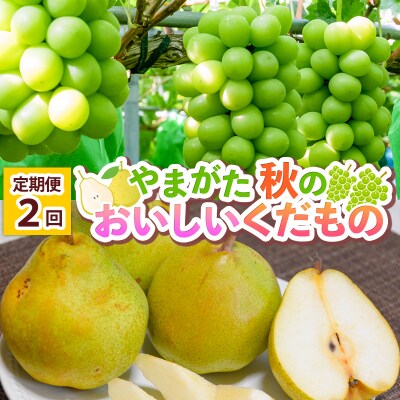 【定期便2回】 やまがた 秋のおいしいくだもの【令和8年産】FS25-777