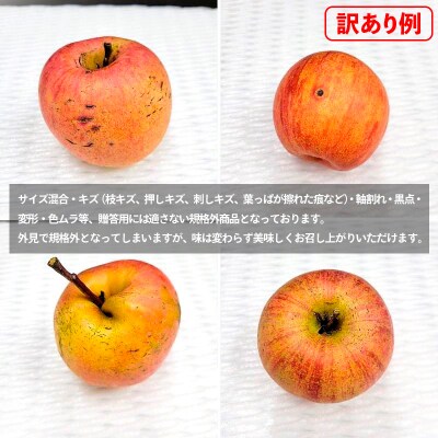 ★数量限定★【ご自宅用】山形産 サンふじりんご 約15kg (39～84玉) FZ26-747