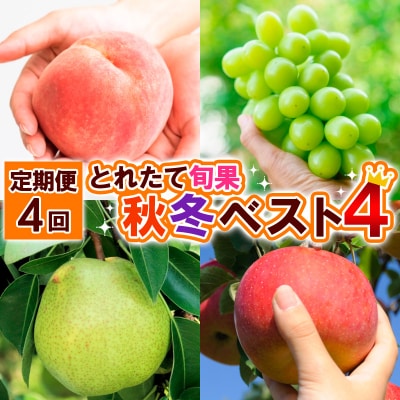 【定期便4回】とれたて旬果 秋冬ベスト4 FS25-690