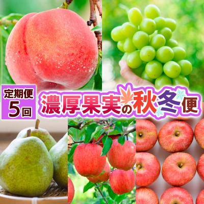 【定期便5回】濃厚果実の秋冬便 FY25-021