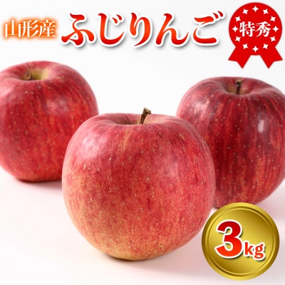 特秀品 山形県産 ふじりんご 3kg【令和8年産】FS25-734