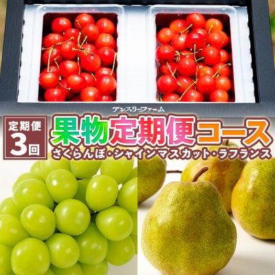 【定期便3回】果物定期便コース(さくらんぼ、シャインマスカット、ラフランス)  FY25-025