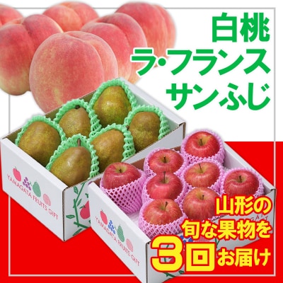 【定期便3回】☆フルーツ王国山形☆白桃・ラフランス・りんご  FZ26-808