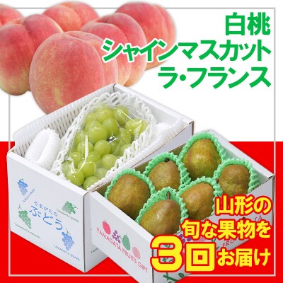 【定期便3回】☆フルーツ王国山形☆白桃・シャインマスカット・ラフランス FZ26-809