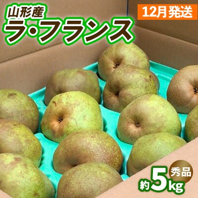 山形のラ・フランス約5kg(10～16玉 3L～6L)[12月発送]【令和8年産】FS25-743