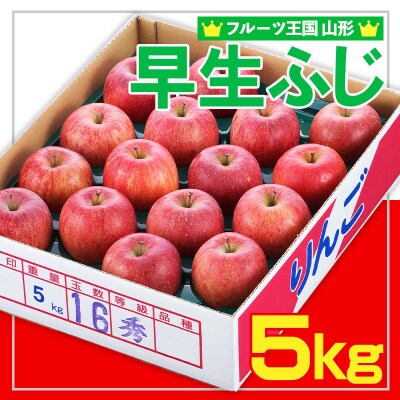☆フルーツ王国山形☆ りんご (早生ふじ) 秀品 5kg【令和8年産】FS25-753