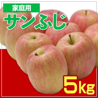 【家庭用】☆フルーツ王国山形☆ りんご (サンふじ) 5kg【令和8年産】FS25-756