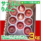 ☆フルーツ王国山形☆ りんご【”干支 (午)”と”寿”の文字印刷入り】3kg  FY25-060